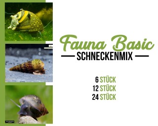 Schnecken mix - Fauna Basic
