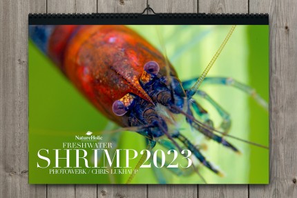 NatureHolic (Aquarium) Calendrier Crevette 2023