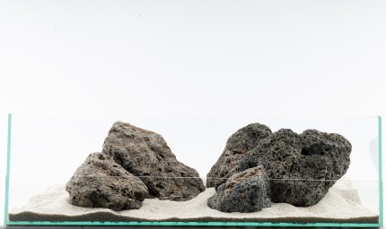 Galapagos Stein - vers. Größen