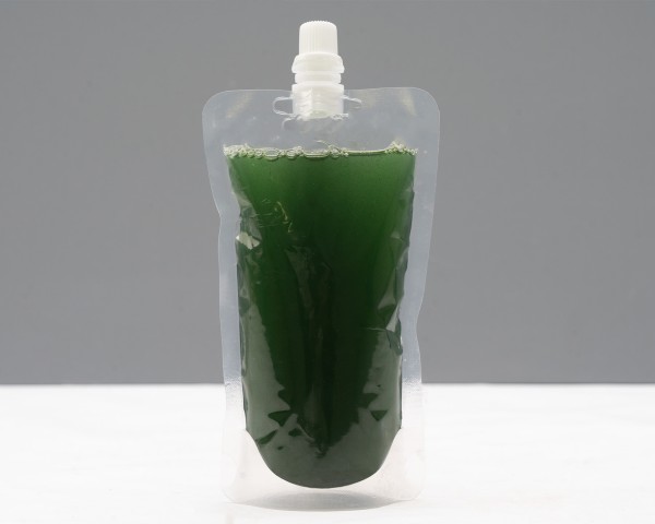 Natureholic - Spirulina Lebendkultur - Mikroalge