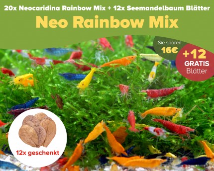20x Neo Rainbow Mix + 12x Seemandelbaum Blätter