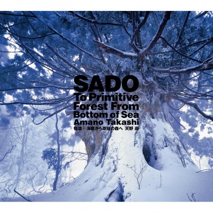 ADA - SADO - Vers la forêt primitive du fond de la mer