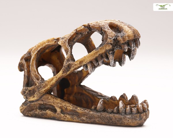 Squelette de crocodile - Cachette d'aquarium