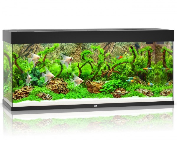 Juwel - Rio 240 LED - Aquarium complet sans meuble de rangement