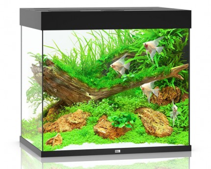 Juwel - Lido 200 LED - Komplett-Aquarium ohne Unterschrank