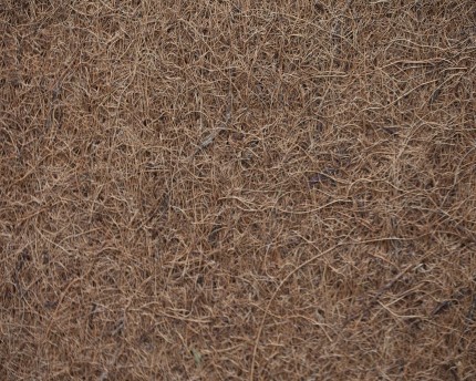 Natureholic Matelas en fibre de coco 50 x 50, 1 cm d'épaisseur / Fond de terrarium