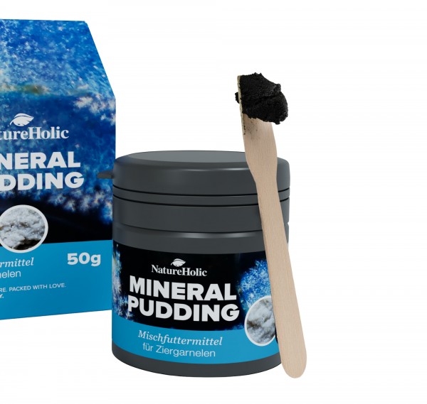 Natureholic pudding + dosing spoon