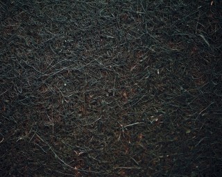 Natureholic Kokosfaser Matte 40 x 40, 1 cm dick - dunkelbraun / Terrariumrückwand