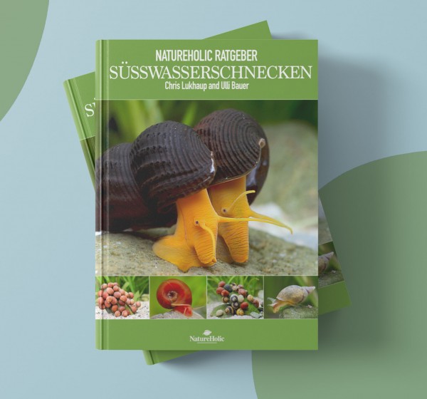 Natureholic Ratgeber - Süßwasserschnecken von Chris Lukhaup/Ulli Bauer - Ebook