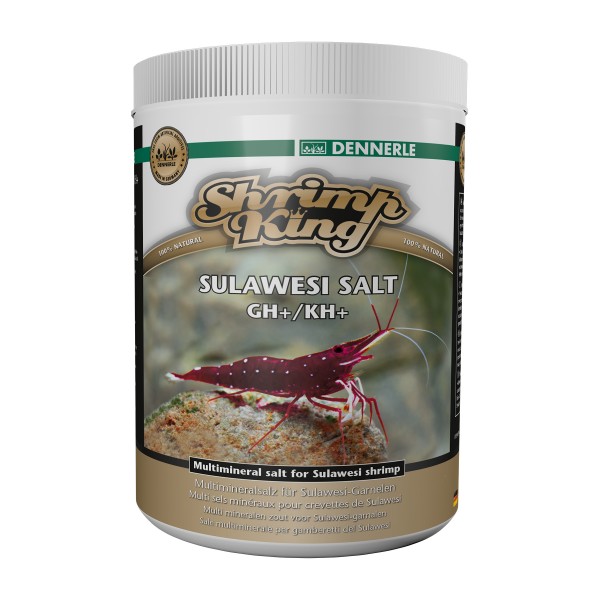 King Shrimp - Sulawesi Salt