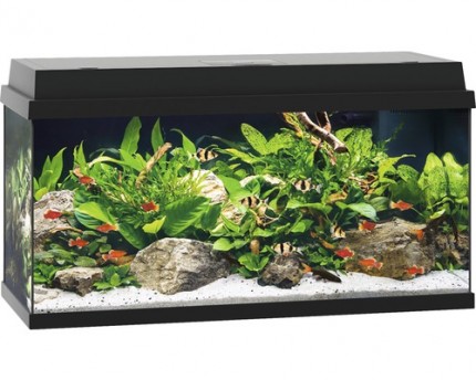 Juwel - Primo 110 black - complete aquarium without base cabinet