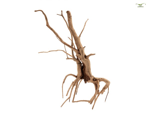 Nano Spiderwood - Aquarium / Terrarium Root