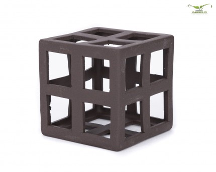 GRNLO - Cube de crevettes 5 cm