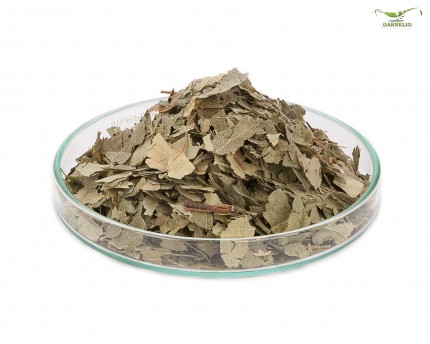 Garnelio - Birch leaves - 10 g
