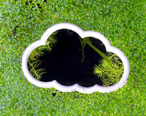 NatureHolic Pflanzenschwimm Portal Cloud - versch. Größen