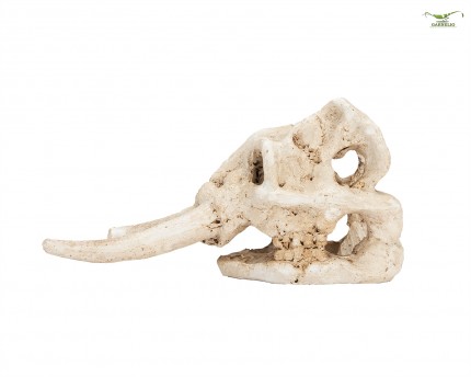 Tête de squelette d'éléphant - Aquarium Cachette - 10 cm