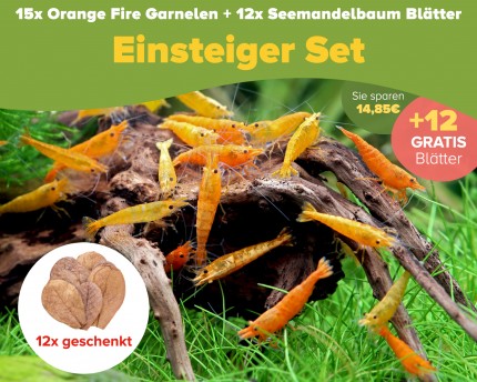 15 St. Orange Fire Garnelen + 10x Seemandelbaum Blätter M