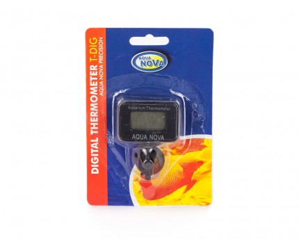 Digital-Thermometer