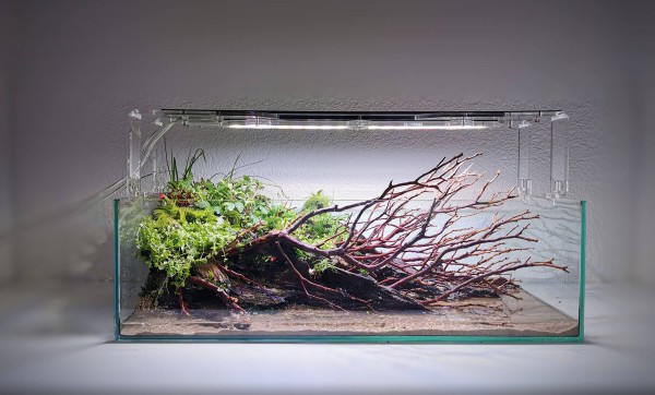 Gravier brun fonce pour aquarium d'eau douce