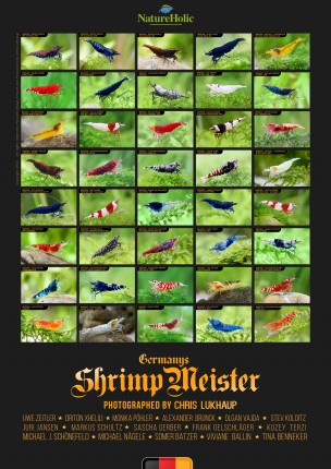 Germanys Shrimp Meister - Poster par Chris Lukhaup