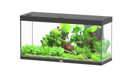 Aquatlantis - Splendid 240 - Komplett-Aquarium ohne Unterschrank