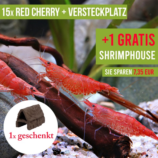15 St. Red Cherry Garnelen + 1x Shrimphouse