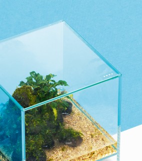 DOOA - Neo Glass Cover