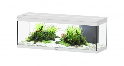 Aquatlantis - Prestige 120 - Komplett-Aquarium ohne Unterschrank