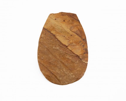 1x feuille d'amandier de mer - Catappa leaf small