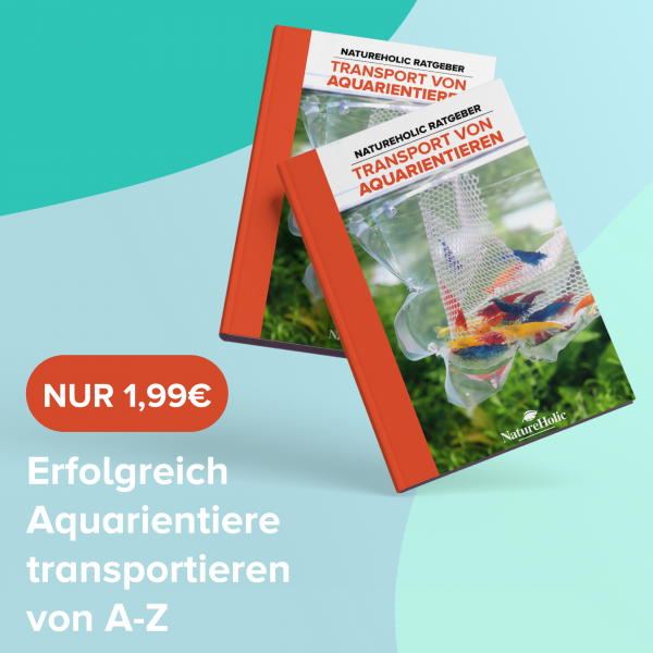 Natureholic Guide - Transport of aquarium animals - Ebook
