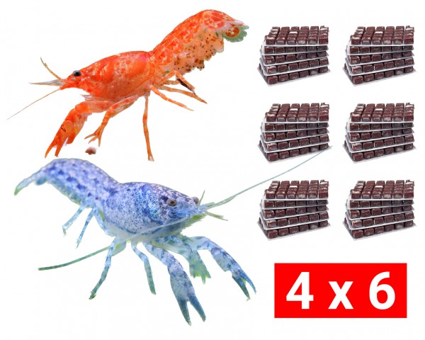 Frozen food bundle for dwarf crayfish - 24 pcs.