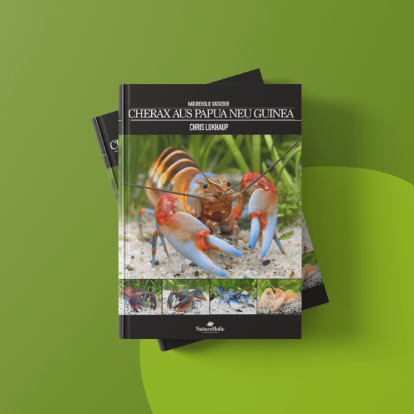 Guide Natureholic Cherax de Papouasie Nouvelle Guinée par Chris Lukhaup - Ebook