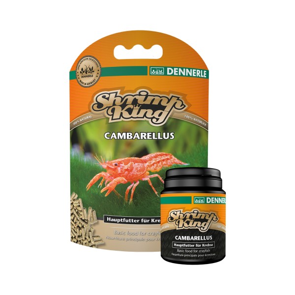 Shrimp King - Cambarellus