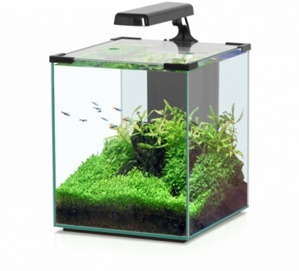 Aquatlantis - Nano Cubic 30 - Komplett-Aquarium ohne Unterschrank