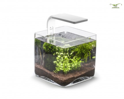 Aquael nano glass aquarium - cube 6.5 l
