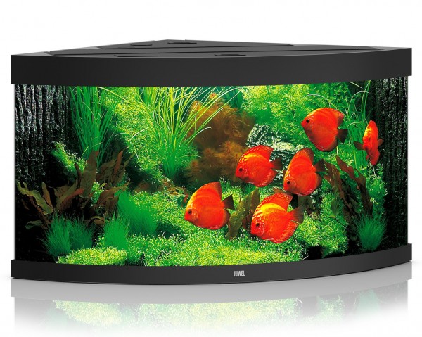 Juwel - Trigon 350 LED - complete aquarium without base cabinet