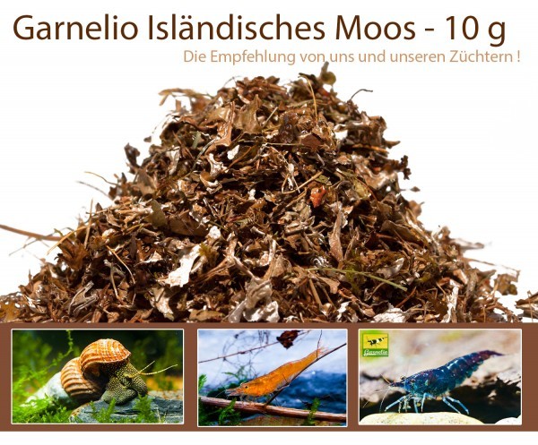 Garnelio - Isländisches Moos - 10 g