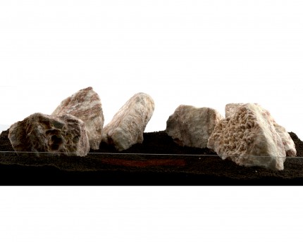 Amoeba stone - 6-delat set