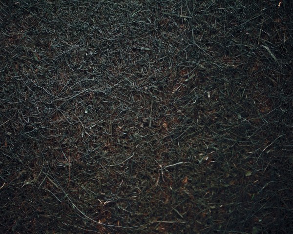 Natureholic Kokosfaser Matte 40 x 40, 1 cm dick - dunkelbraun / Terrariumrückwand