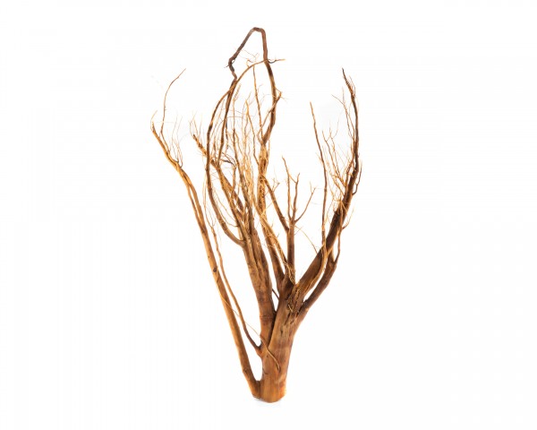 Filigree bog pine root - size XS - XL