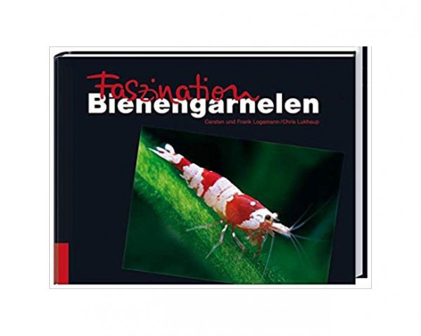 La fascination des crevettes abeilles - Frank Logemann/Carsten Logemann/Chris Lukhaup