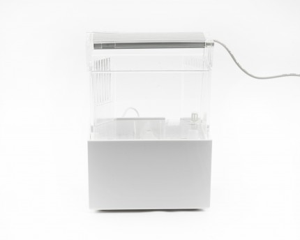 Eden - Nano Desktop Aquarium