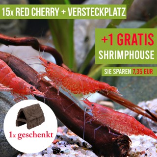 15 St. Red Cherry Garnelen + 1x Shrimphouse