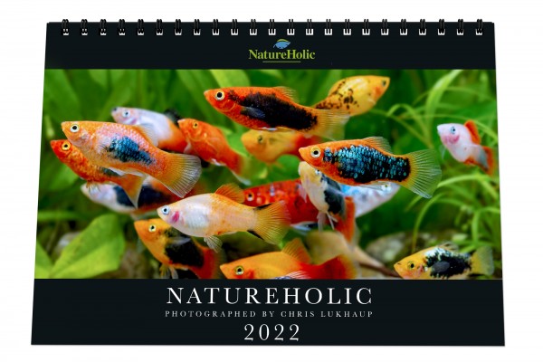 Calendrier NatureHolic 2022