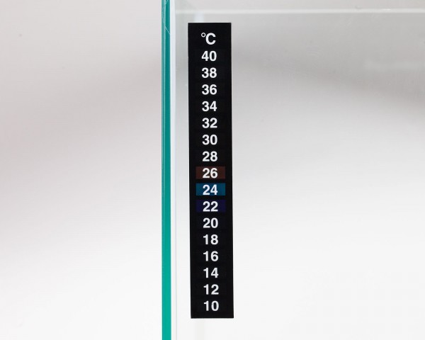 Thermometer for sticking