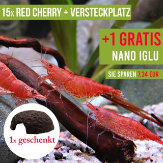 15 St. Red Cherry Garnelen + 1x Nano Iglu