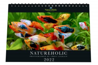 NatureHolic Kalender 2022