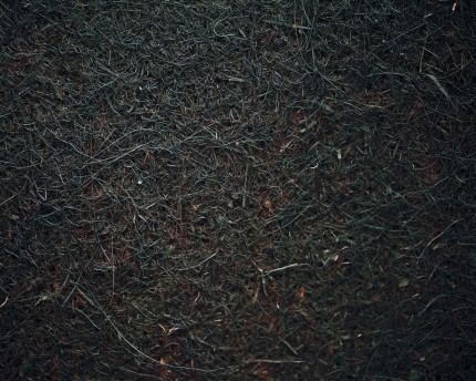 Natureholic kokosfibermatta 40 x 40, 1 cm tjock - mörkbrun / Terrarium bakre vägg