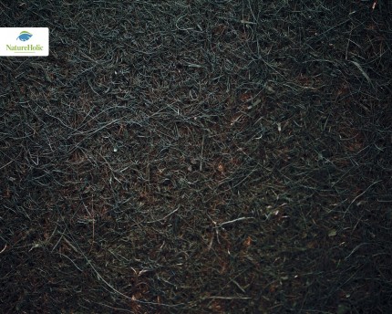 Natureholic Kokosfaser Matte 100 x 50 cm, 1 cm dick - dunkelbraun / Terrariumrückwand