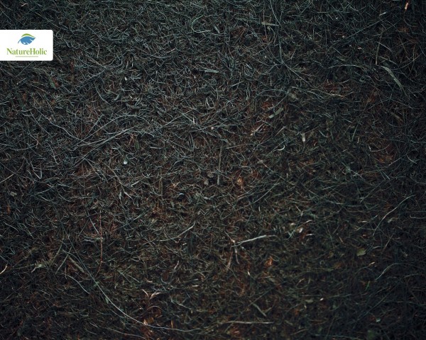 Natureholic Tapis en fibre de coco 100 x 50 cm, 1 cm d'épaisseur - brun foncé / Fond de terrarium